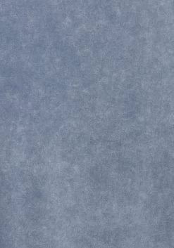 Buffalo Top Met Spaghettibandjes Met Modieuze Rand Met Kwastjes -Dames Winkel buffalo top met spaghettibandjes met modieuze rand met kwastjes blauw 3