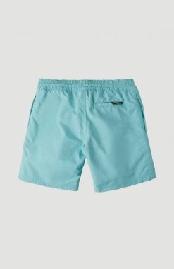 O'Neill Zwemshort "Vert" -Dames Winkel oneill zwemshort vert blauw 10