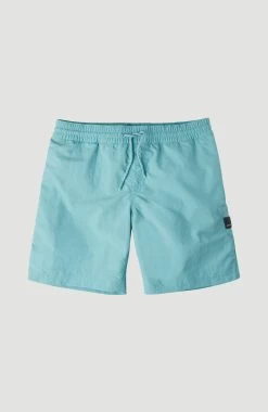 Bench. Zwemshort Met Trendy Logo-opschrift -Dames Winkel oneill zwemshort vert blauw
