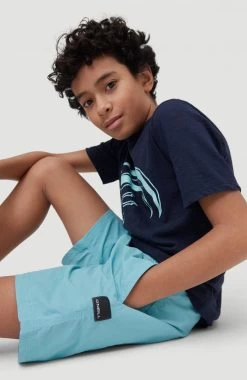 O'Neill Zwemshort "Vert" -Dames Winkel oneill zwemshort vert blauw 3