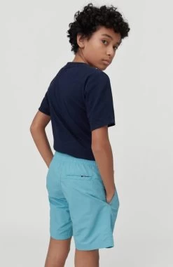 O'Neill Zwemshort "Vert" -Dames Winkel oneill zwemshort vert blauw 8