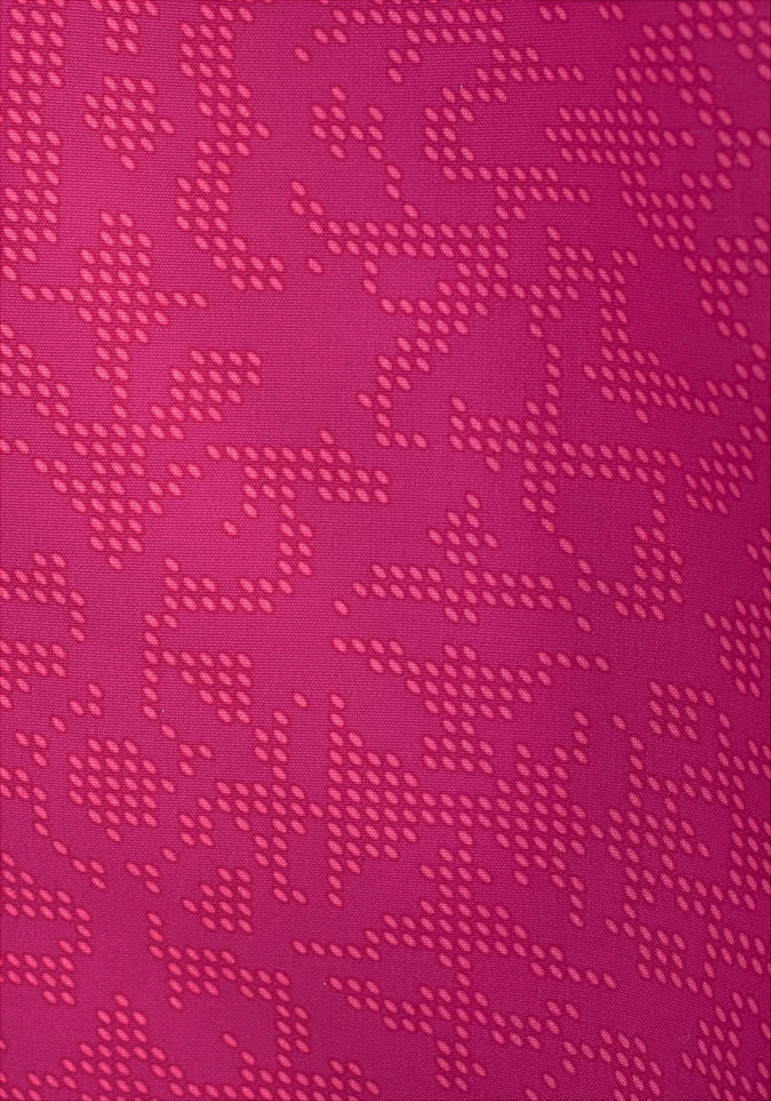 Venice Beach Zwemshort Met Stijlvolle Print 3 Venice Beach Zwemshort Met Stijlvolle Print - Image 3